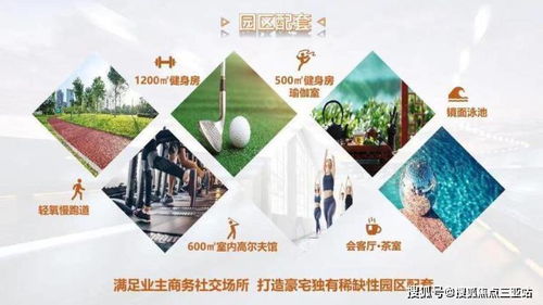 三亞 建面約276㎡企業大平層等產品在售 項目詳情 產品 配套